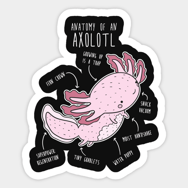 Axolotl Anatomy Sticker by Psitta